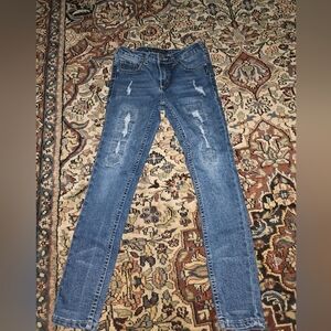 Silver Jeans Blue Distressed Skinny Jeans